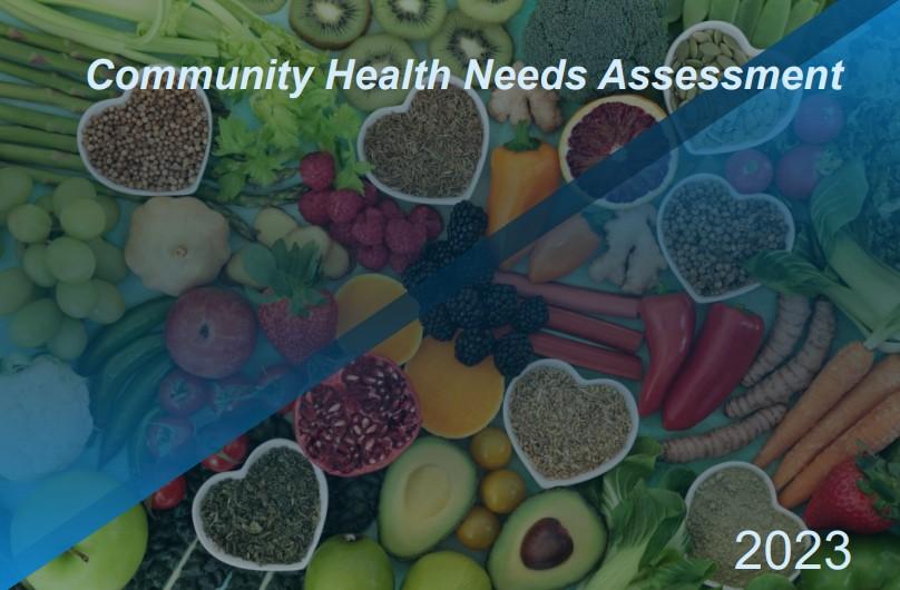 Healthy Ottawa 2023 Community Health Needs Assessment